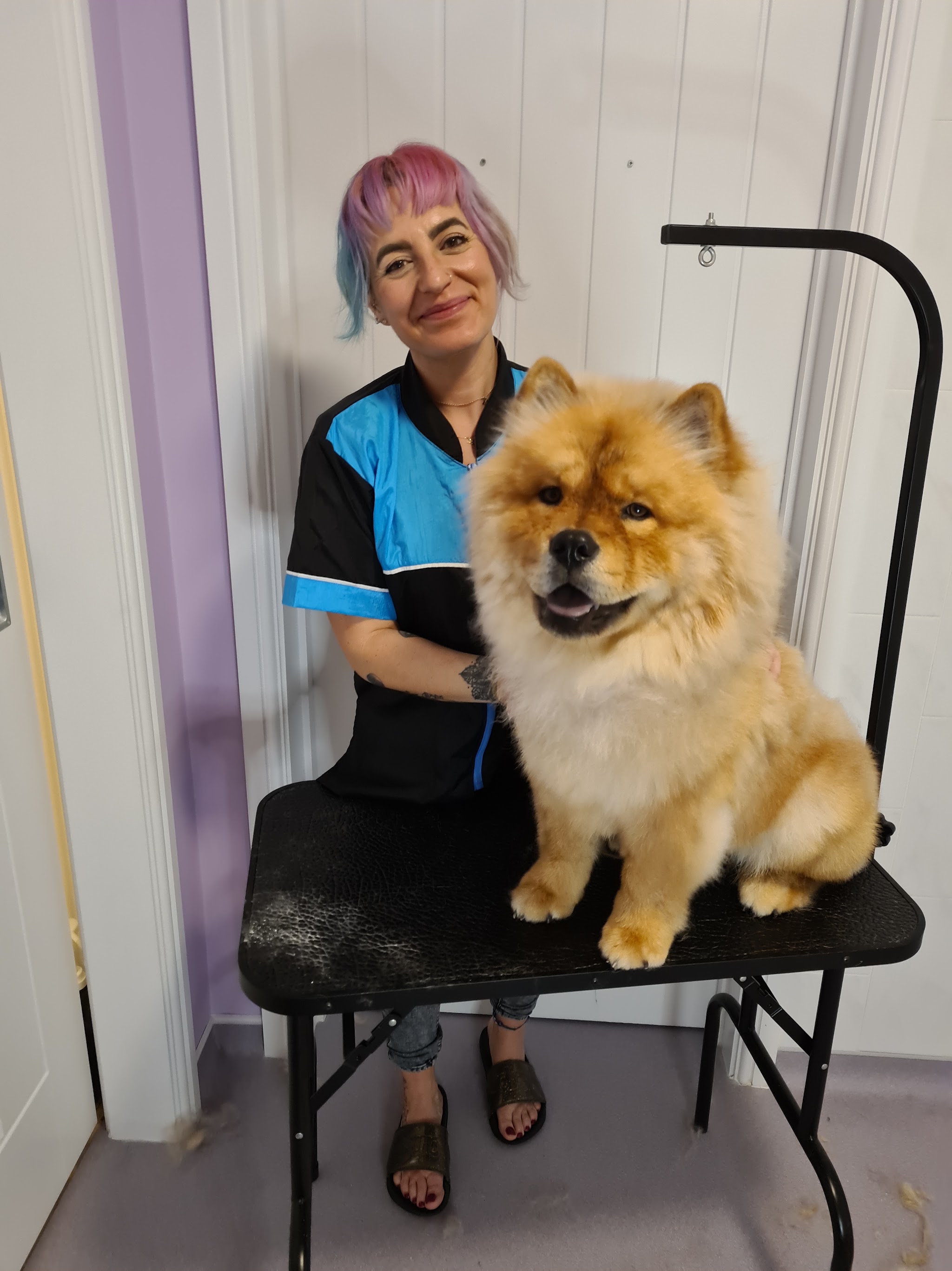 Pelin in her turquoise grooming tunic with a fluffy ginger chow chow on the grooming table